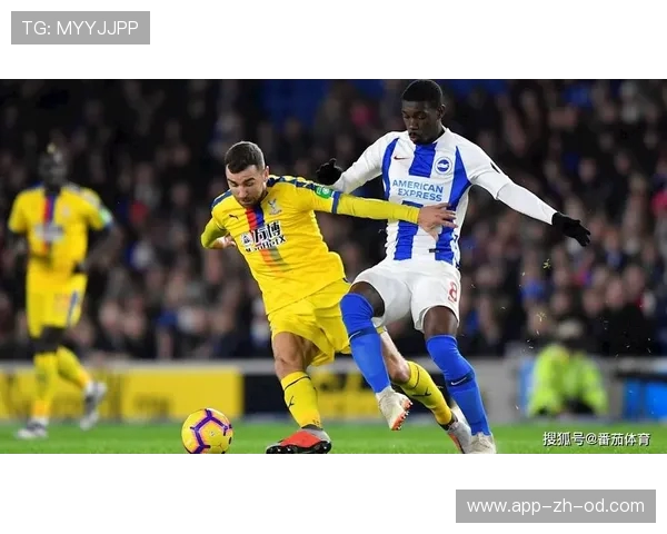 布莱顿 1100 万欧签 21 岁意大利中卫库博拉，五年长约锁定未来