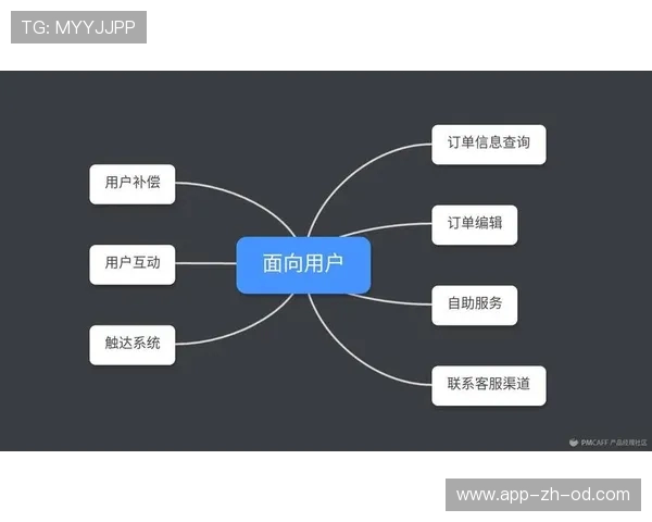 F1比赛周末全流程解析